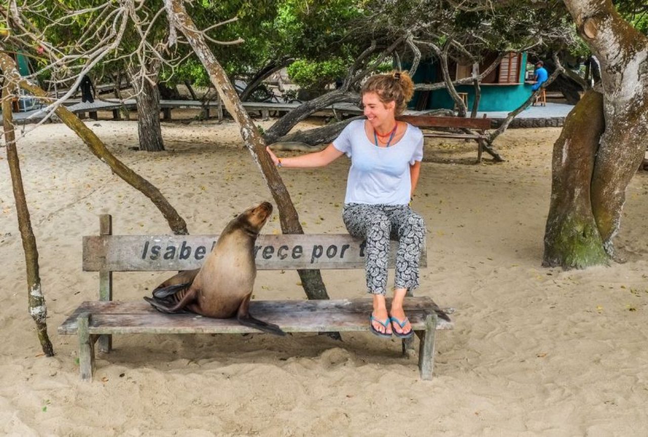 A QUICK GUIDE TO EXPLORING THE GALAPAGOS ISLANDS 1 - Ecuador & Galapagos Tours