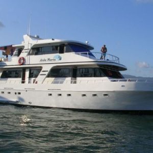 AIDA MARIA 1 - Galapagos Cruise