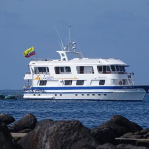ANGELITO 7 - Galapagos Cruise