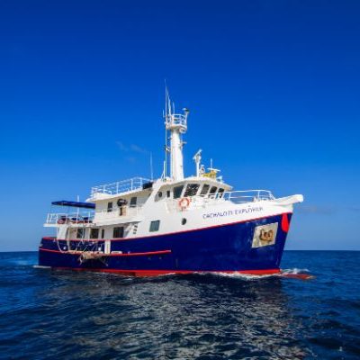 CACHALOTE EXPLORER 1 - Galapagos Cruise
