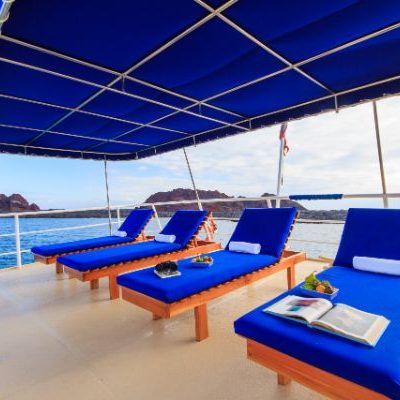 CACHALOTE EXPLORER 7 - Galapagos Cruise