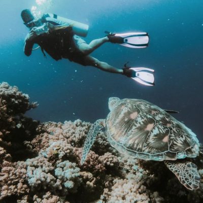 GALAPAGOS ISLAND HOPPING Diving 5 - Ecuador & Galapagos Tours