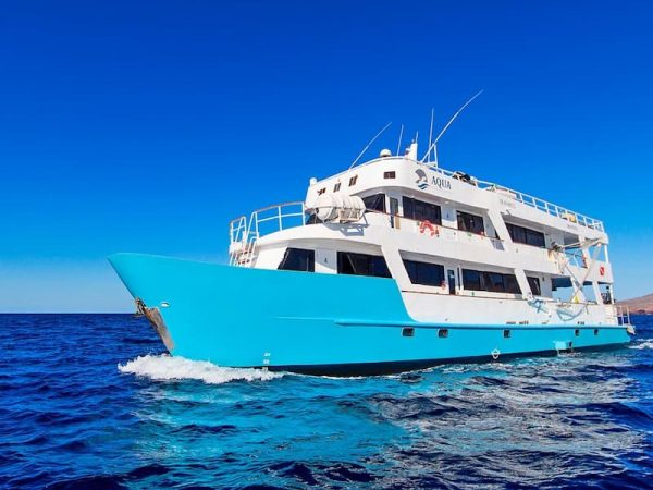 Last Minute Galapagos Cruises - Aqua