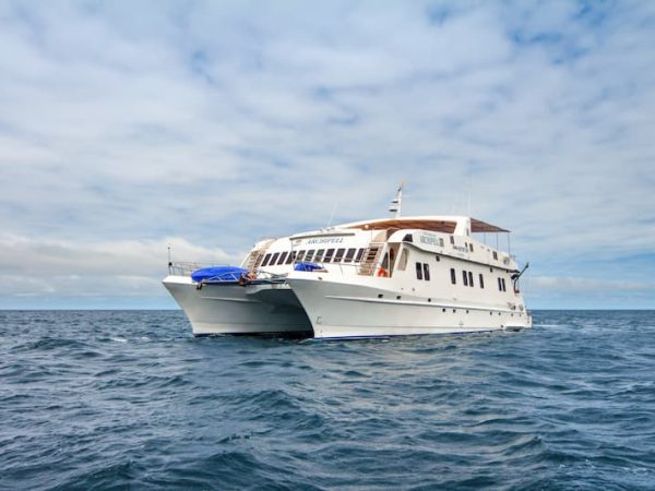Last Minute Galapagos Cruises - Archipel I