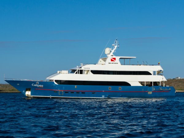 Last Minute Galapagos Cruises - Calipso