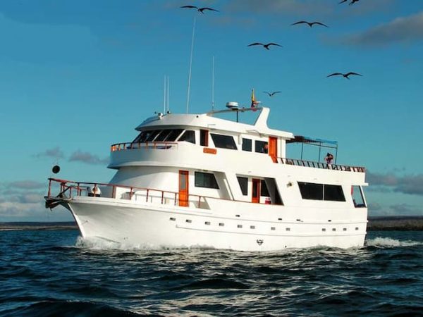 Last Minute Galapagos Cruises - Darwin