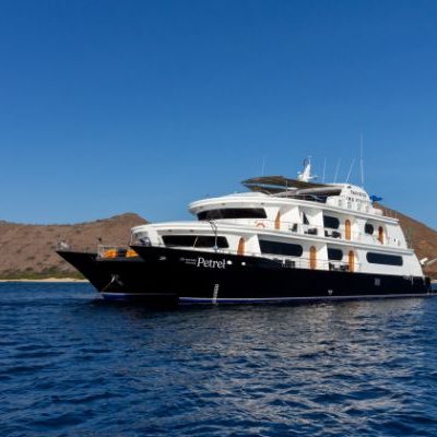 PETREL 1 - Galapagos Cruise