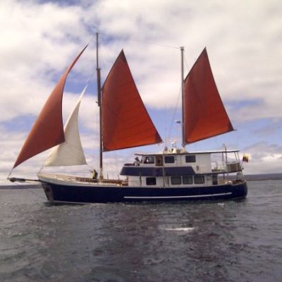 SAMBA 1 - Galapagos Cruise