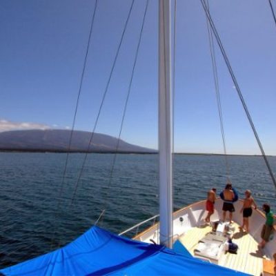 SAMBA 8 - Galapagos Cruise