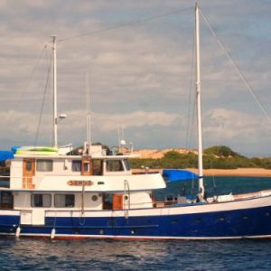 SAMBA 9 - Galapagos Cruise